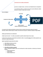 Cicatrización de Los Tejidos Periodontales