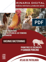 VeterinariaDigital Magazine 01 ES