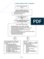 2014 Burn Patient Management - Clinical Practice Guidelines