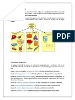 Definición de Alimento Tyrabajo de Exposicion 2019 II Yiii