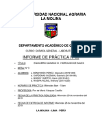 Informe 11