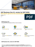 SAP Business One SAP HANA 