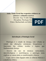 Aula de Visão Geral Das Respostas Celulares Ao Estresse e Estímulos Nocivos