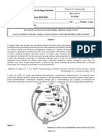 Ficha de Trabalho Evolução