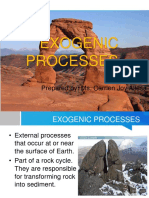 Exogenic Processes