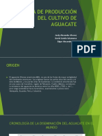 Sistema de Producción Del Cultivo de Aguacate