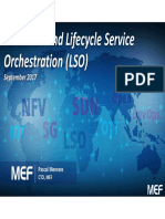 Mef Lso PDF