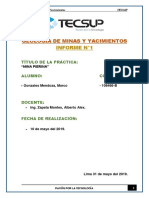 Informe de Pierina PDF