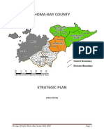 County Draft Strategic Plan PDF