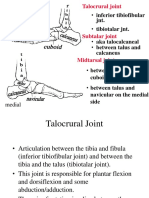 Ankle Lecture