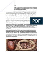 Estudio Del Mercado Internacional Del Cacao