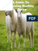 A Guide To Raising Healthy Sheep