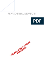 Repaso Final Morfo III