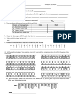 DNA Worksheet