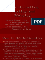 Multiculturalism, Locality and Identity