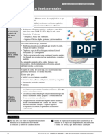 Resumen Tema 1