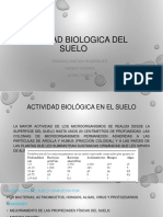 Actividad Biologica Del Suelo