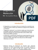 Diagnostico Molecular