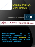 Reparacion-Cicatrizacion