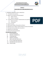 Informe de Practicas Pre-Profecionales