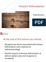 Amazon Deforestation Lecture Rosolem