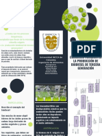 Folleto Uso de La Microalga Chlorella Vulgaris en La Producción de Biodiesel de Tercera Generación