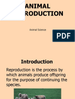 Animal Reproduction