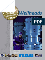 Wellheads 01 PDF