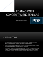 Malformaciones Congenitas Encefalicas