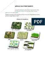 Chlorophylls and Other Pigments