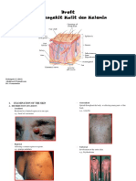 Penyakit Kulit Dan Kelamin