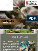 Diapositivas Reptiles 1