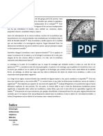 Metafísica PDF