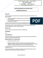 Programme Formation SST