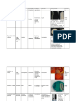 Pruebas Bioquimicas