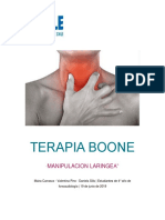 Terapia Boone