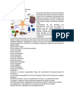 Proteínas y Sus Tipos de Funciones