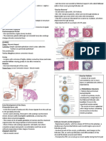 Chapter 22 The Female Reproductive System