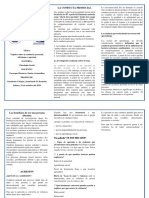 Tríptico Sobre La Conducta Prosocial, Altruismo y Agresión