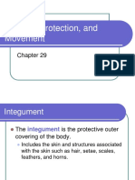 Form 4 17 Support Movement and Protection