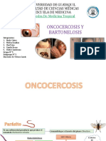 Oncocercosis y Bartonelosis