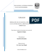 Tesis Nayelli Soto PDF