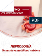 Pre Internado 2020 - Villamemo Nefrología