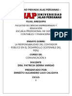 Ensayo Sobre La Responsabilidad Del Contador Público en El Desarrollo Sostenible Del Perú