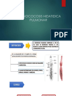 G2 - Hidatidosis