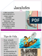 Los Alacalufes