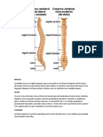 Columna Vertebral, Medula,Fusionar