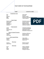 01 Important Crops of The Phlippines