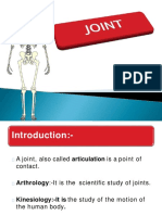 Human Anatomy Joints