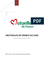 Rapport de Stage MFV